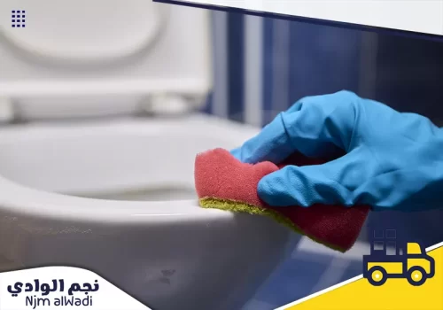 تنظيف حديقة الفيلا في الفجيرة تنظيف حديقة الفيلا في الفجيرة